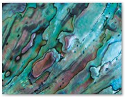 322  |  Abalone