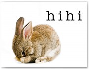 429  |  Hihi