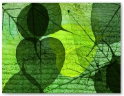 470  |  Green