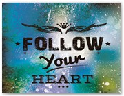 512  |  Follow