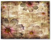602  |  Flirty